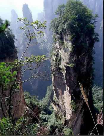 長沙出發(fā)到張家界溶洞奇觀黃龍洞、國家森林公園、袁家界、峰林之王天子山三日游（早班）