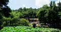 長(zhǎng)沙出發(fā)到花明樓、韶山、張家界國(guó)家森林公園、天門(mén)仙山國(guó)家森林公園四日游