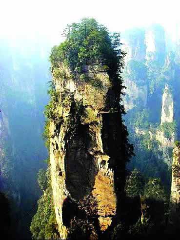 張家界國家地質(zhì)森林公園、黃石寨、金鞭溪休閑一日游